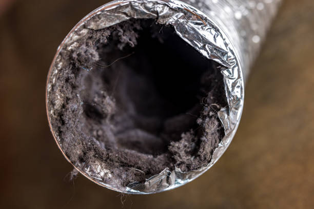 Best Air Duct Cleaning Company Near Me  in Westvale, NY